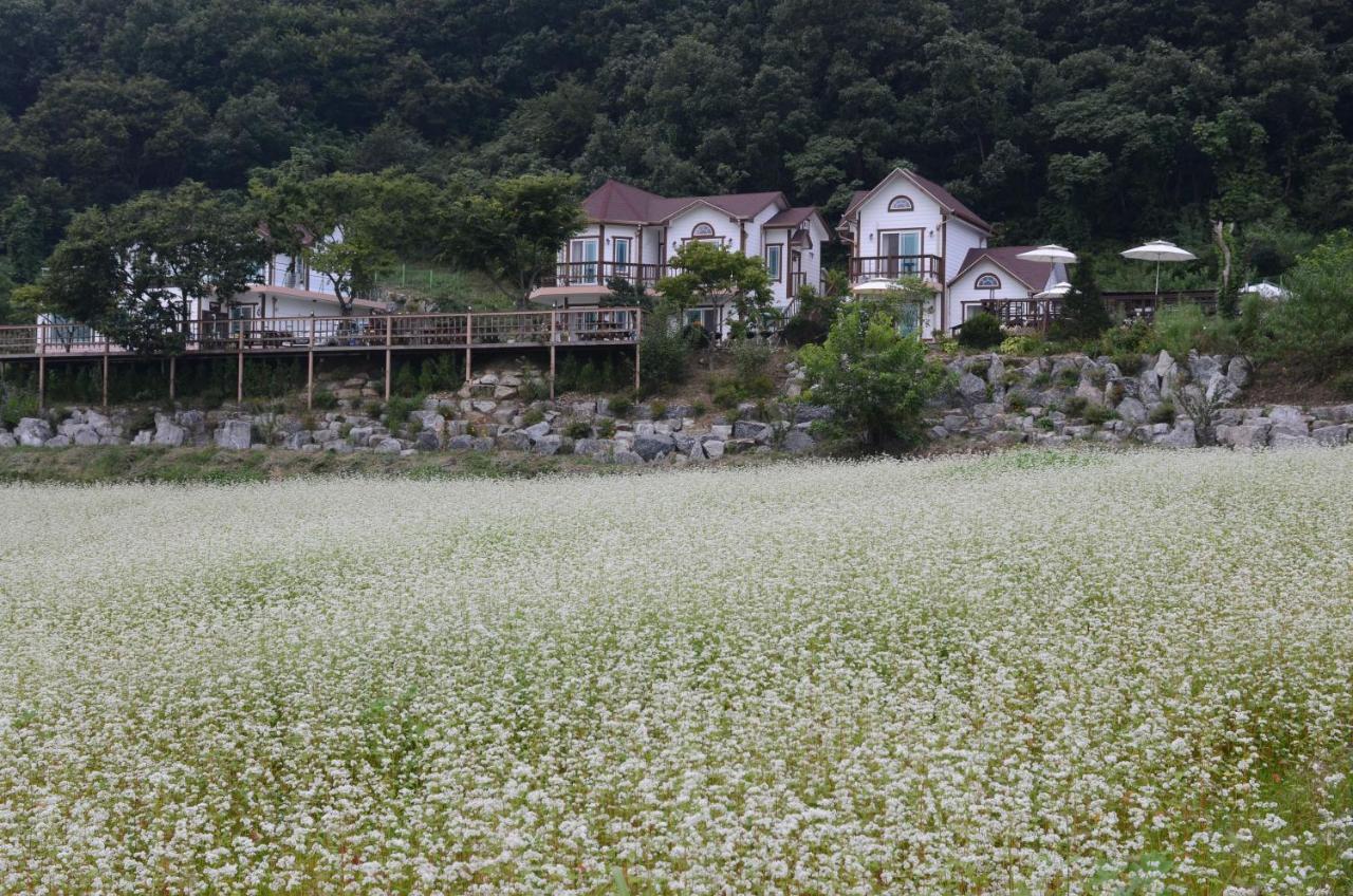 Forest Of Color Pension 洪川郡 外观 照片