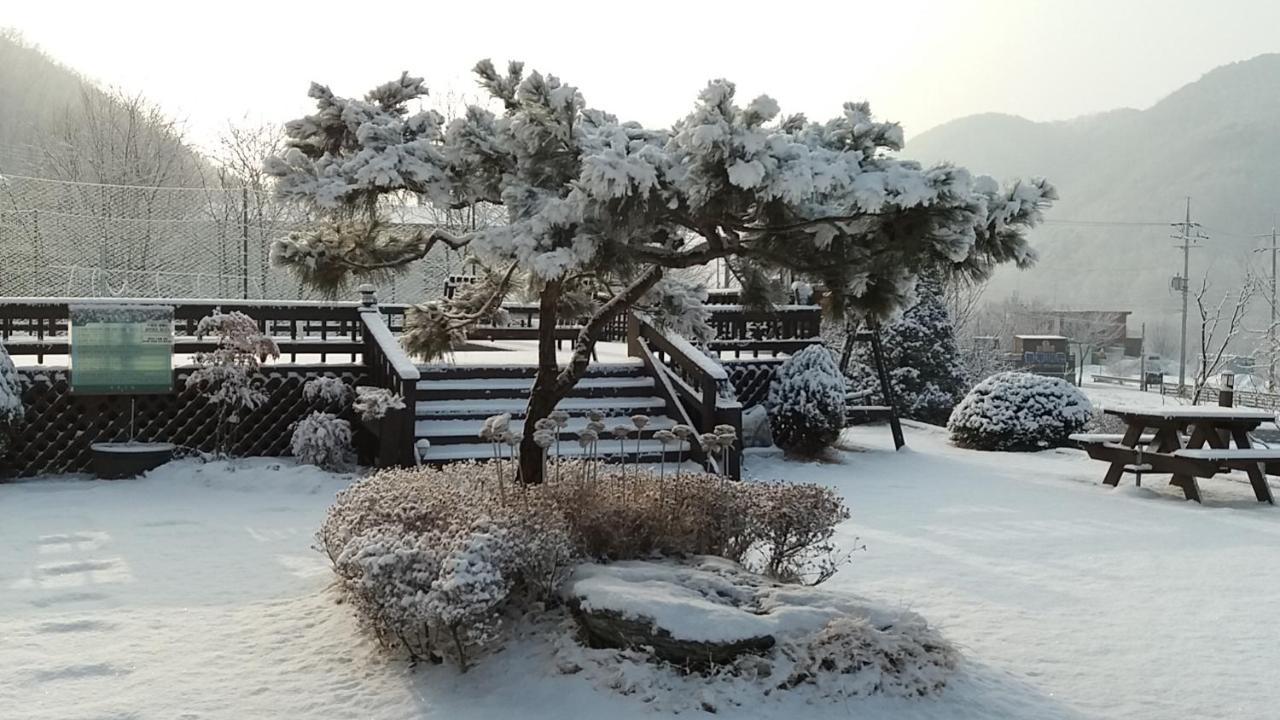 Forest Of Color Pension 洪川郡 外观 照片
