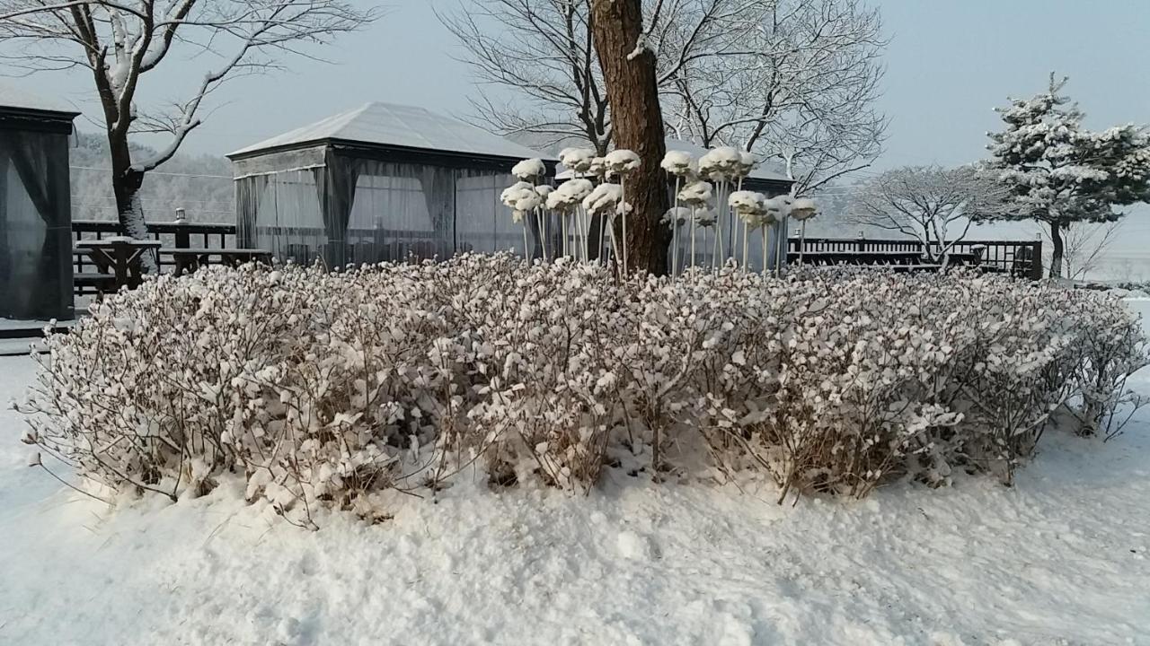 Forest Of Color Pension 洪川郡 外观 照片