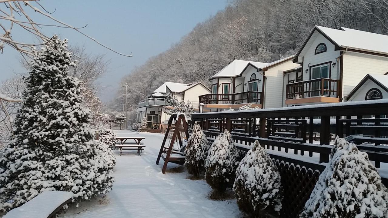 Forest Of Color Pension 洪川郡 外观 照片