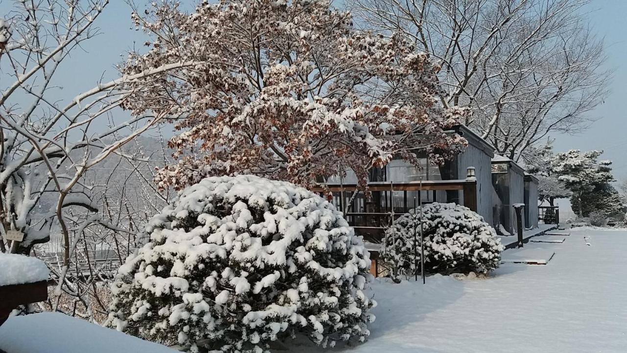 Forest Of Color Pension 洪川郡 外观 照片