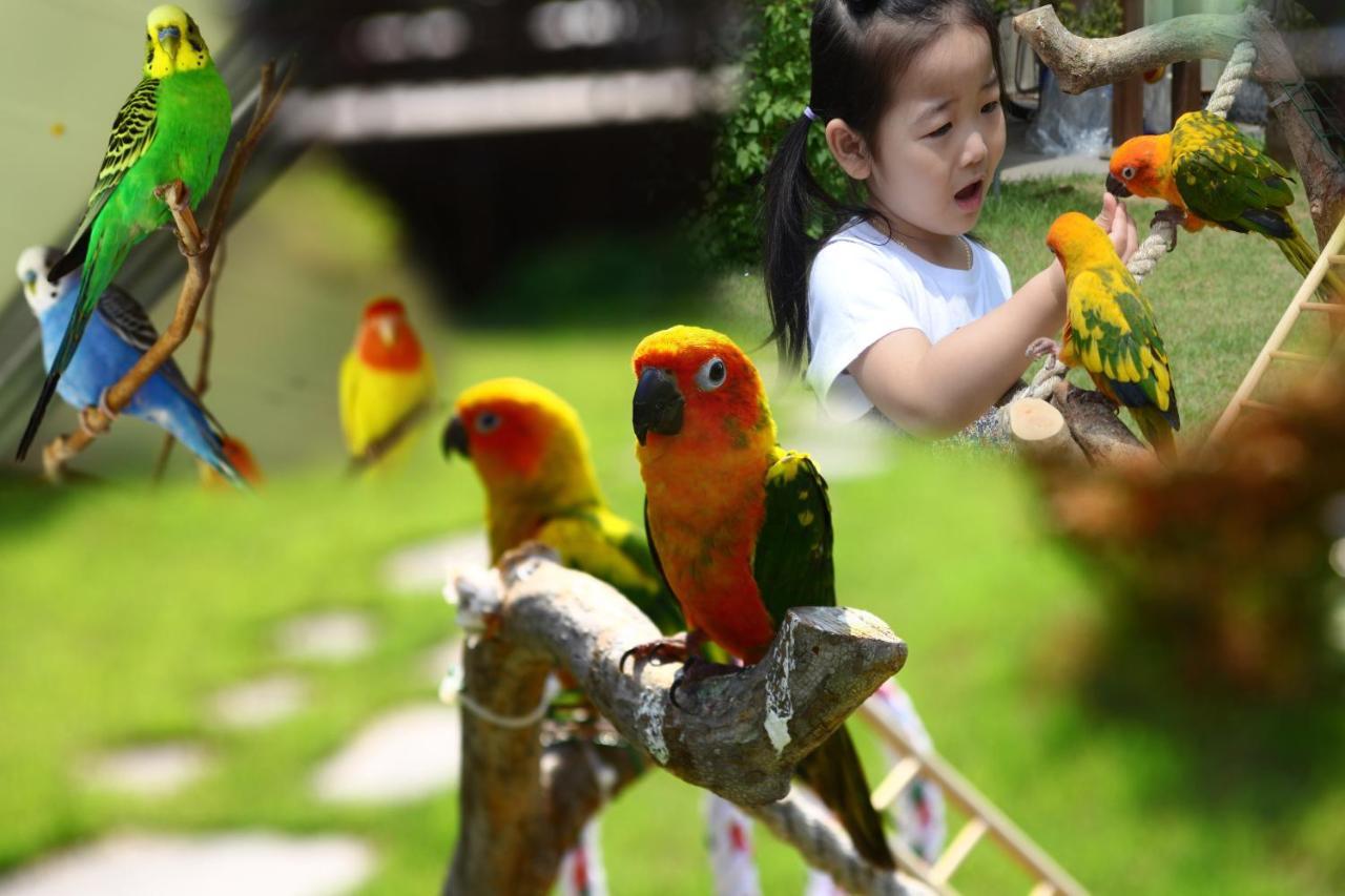Forest Of Color Pension 洪川郡 外观 照片